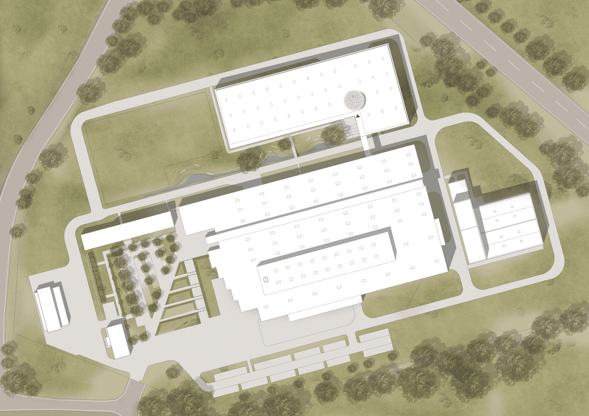 Das Elixier des Hirschen 