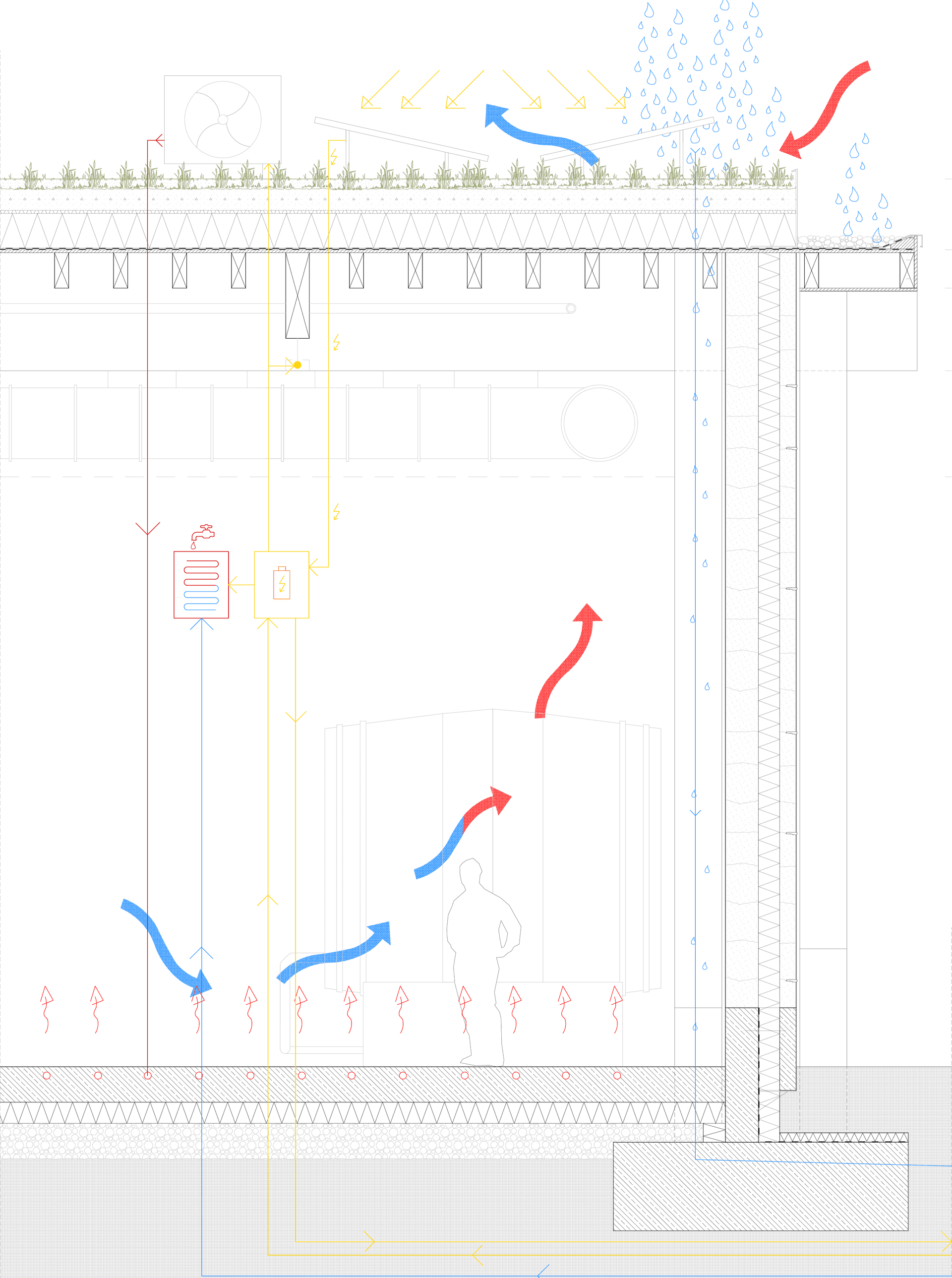 Das Elixier des Hirschen 